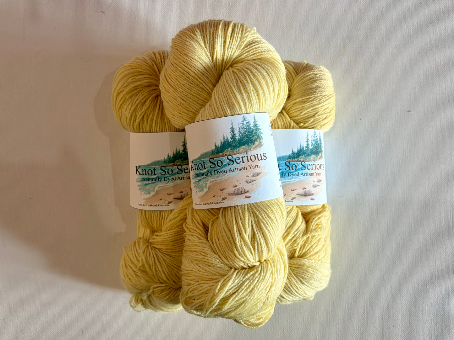 Naturally Dyed Yarn | Fingering | SW Merino/Nylon
