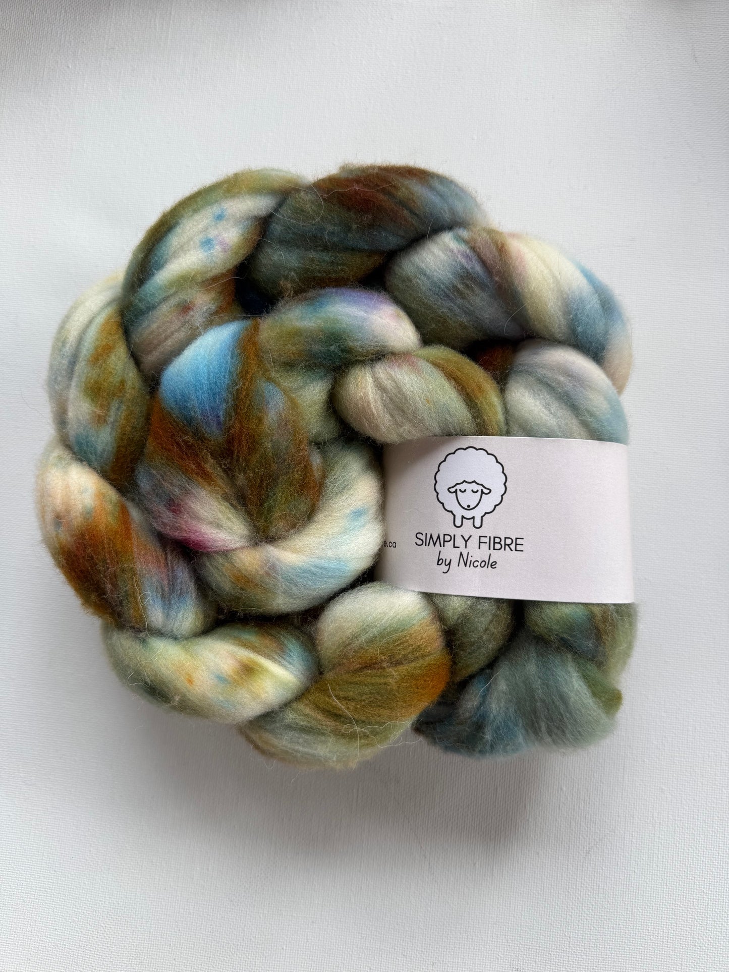 Non-superwash Rambouillet | Braid | 100g