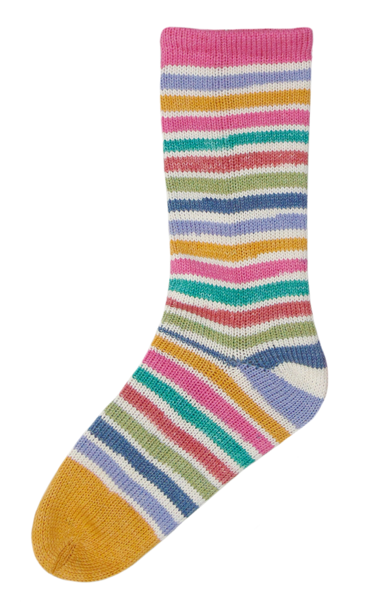 Evolution Cotton Sock | Fingering | Cotton, Nylon