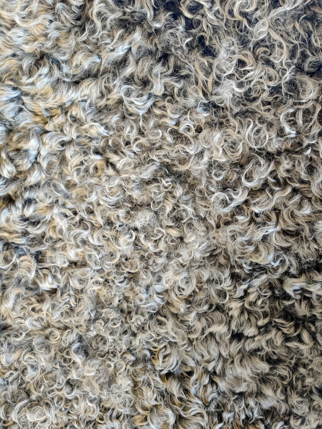 Meet the Fibre: Superwash | Smash or Pass? - The Spinnacle Yarns