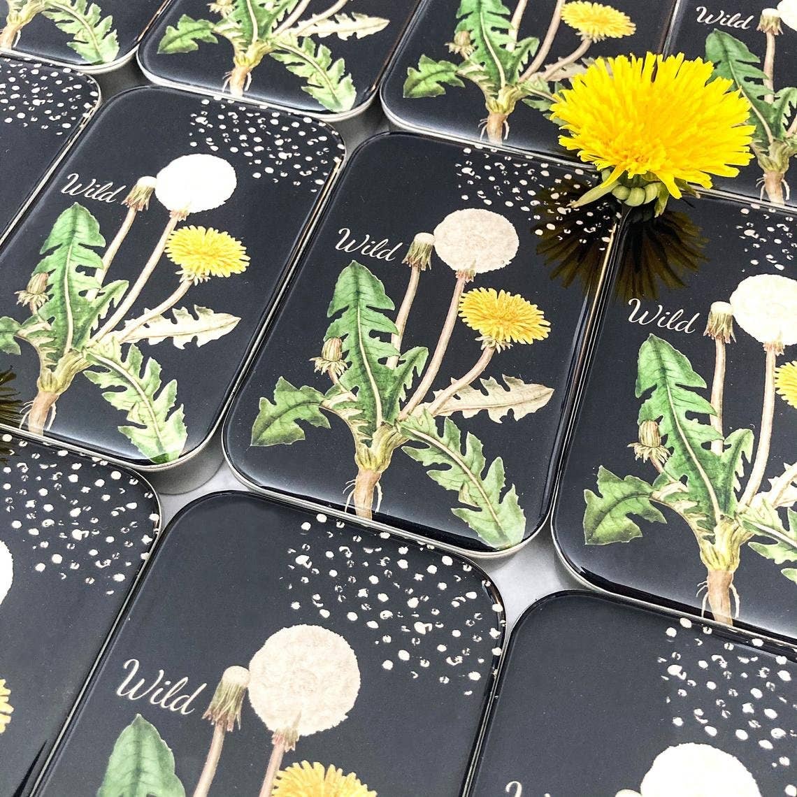Dandelion | Notions Tin
