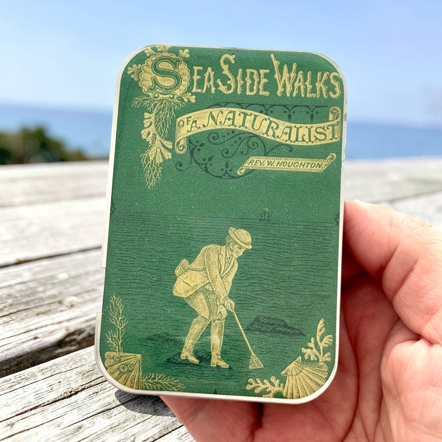 The Seaside Naturalist | Notions Tin (Large)