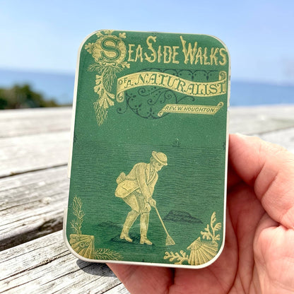 The Seaside Naturalist | Notions Tin (Large)