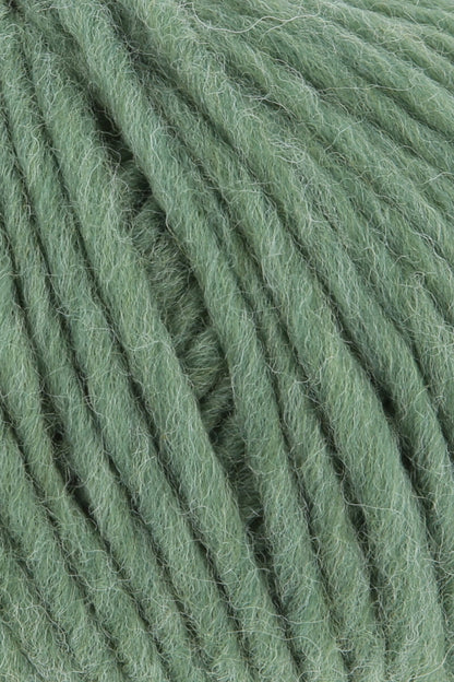 Naturalis | Worsted | Merino