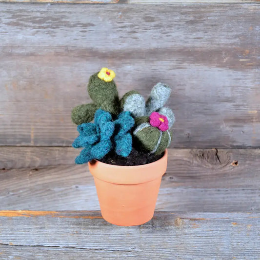 Succulent Needle Felting Kit