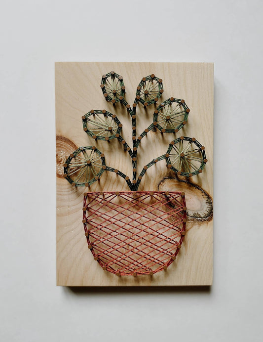 Pilea Plant DIY String Art Kit