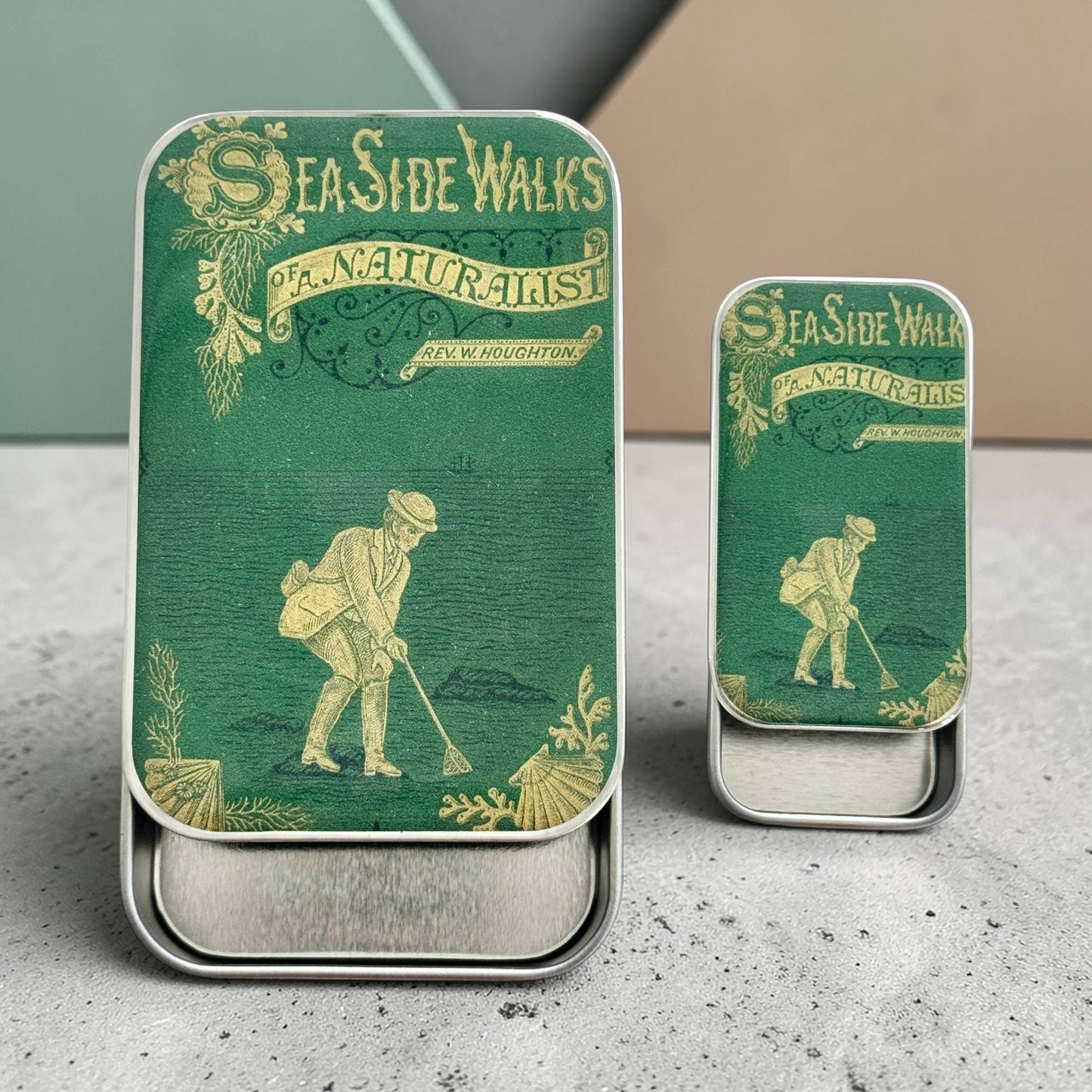 The Seaside Naturalist | Notions Tin (Large)