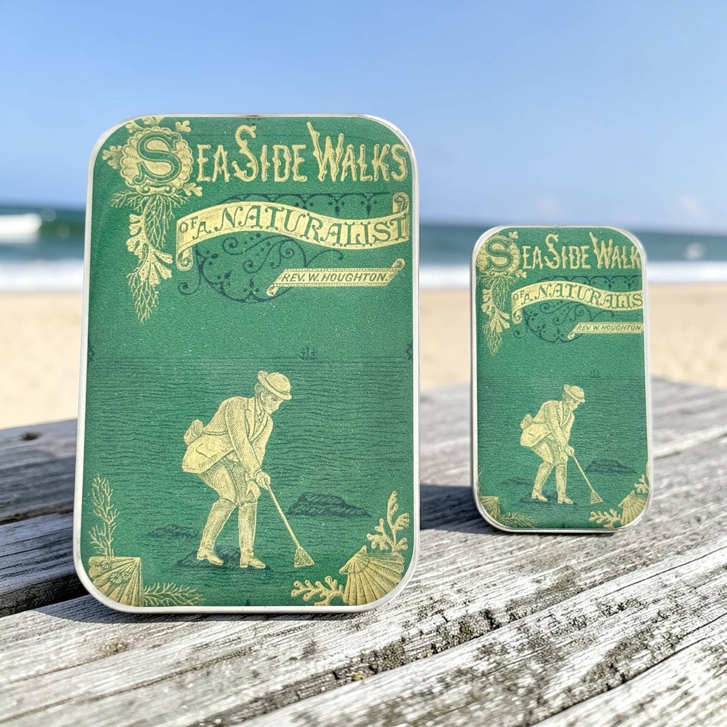 The Seaside Naturalist | Notions Tin (Large)
