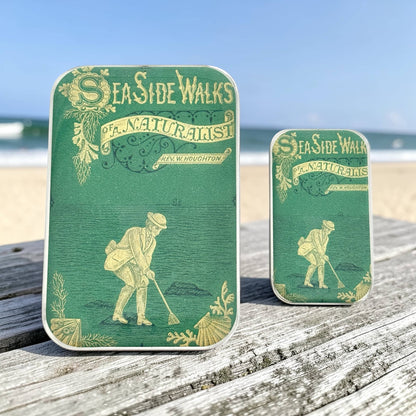 The Seaside Naturalist | Notions Tin (Large)