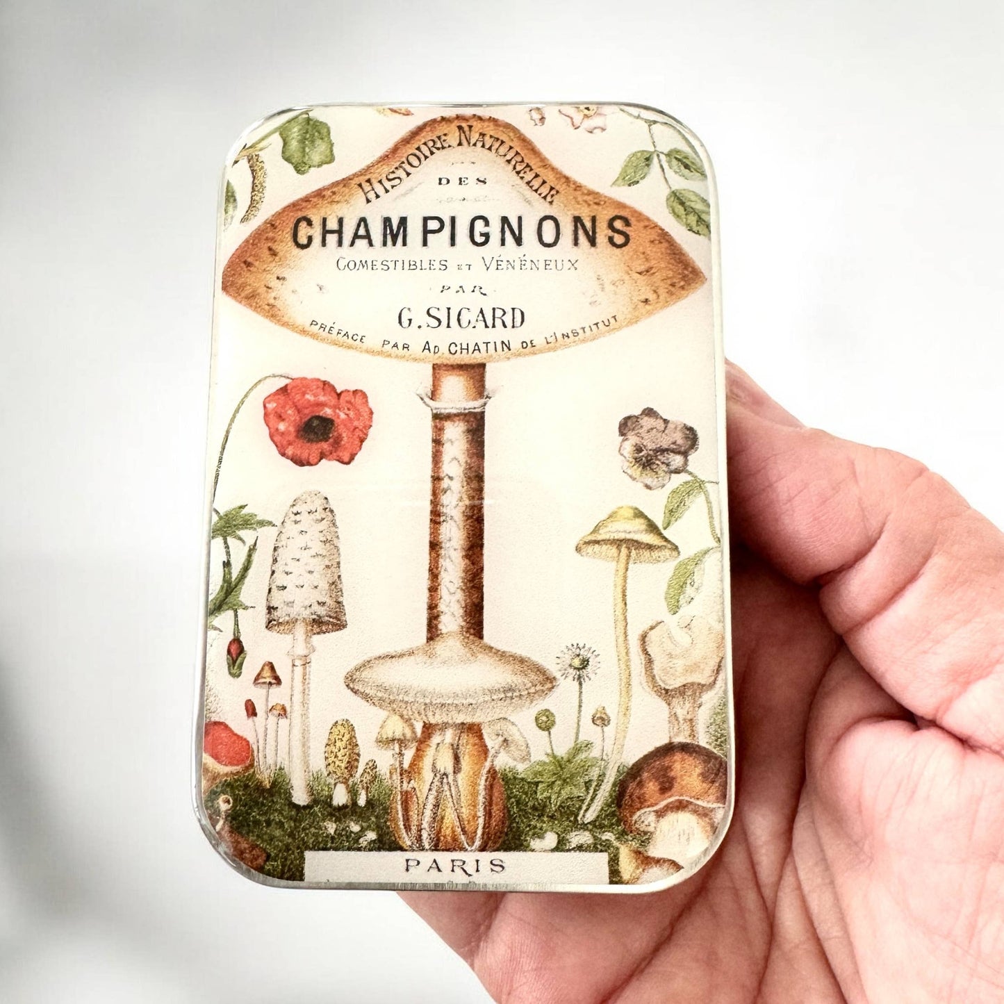 Vintage Mushroom | Notions Tin