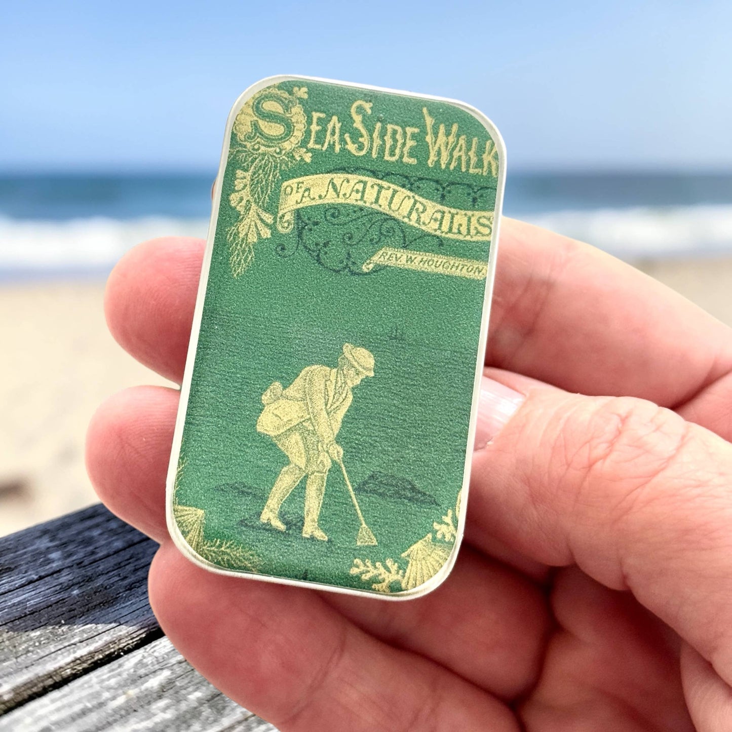 The Seaside Naturalist | Notions Tin (Large)