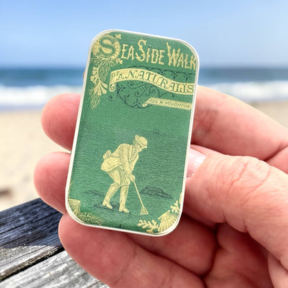 The Seaside Naturalist | Notions Tin (Large)
