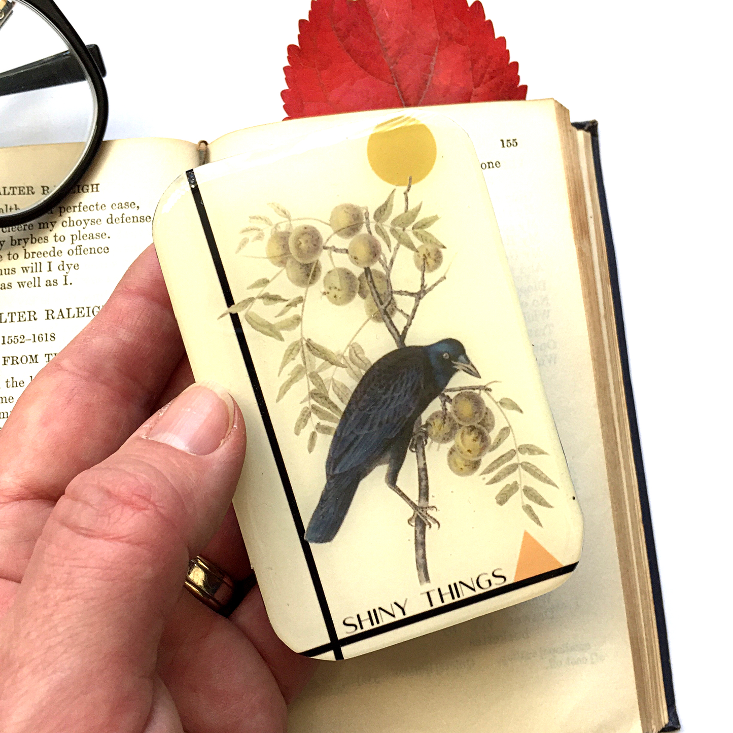 Crow Shiny Things | Notions Tin