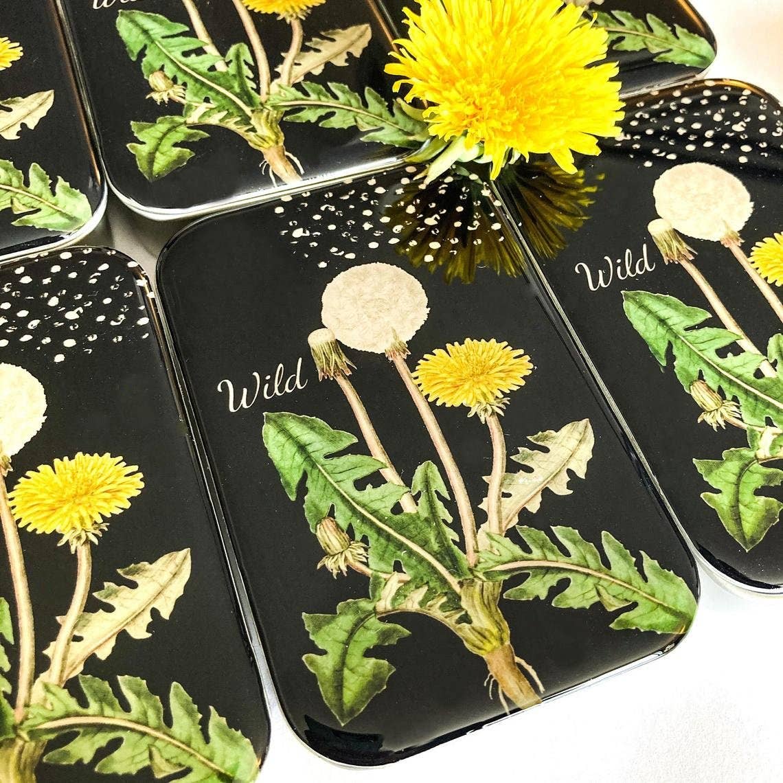Dandelion | Notions Tin