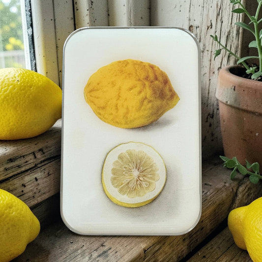 Botanical Lemon | Notion Tin (Large)