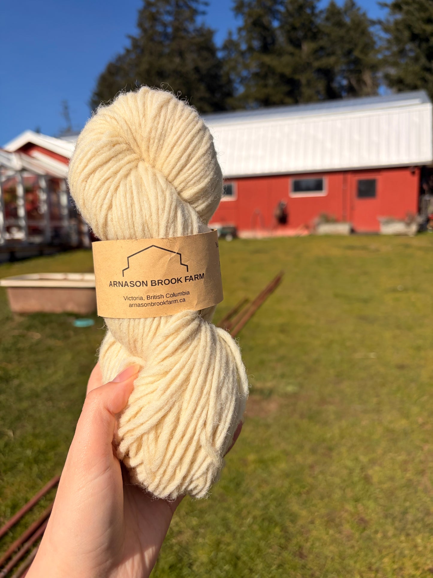 Local Single Ply Yarn | Bulky