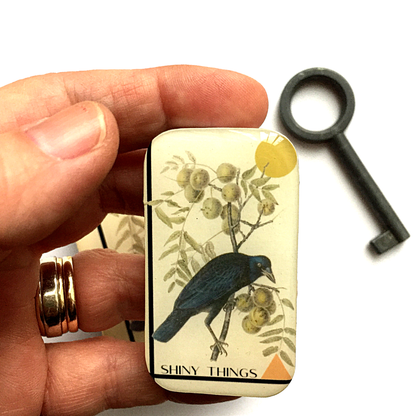Crow Shiny Things | Notions Tin