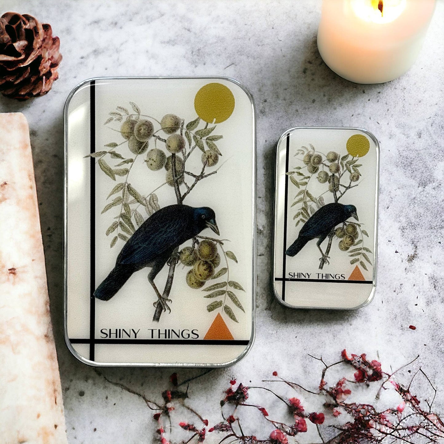 Crow Shiny Things | Notions Tin