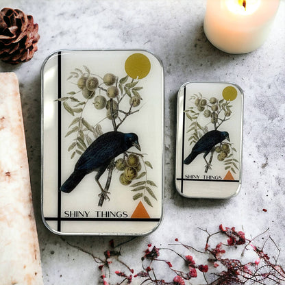Crow Shiny Things | Notions Tin
