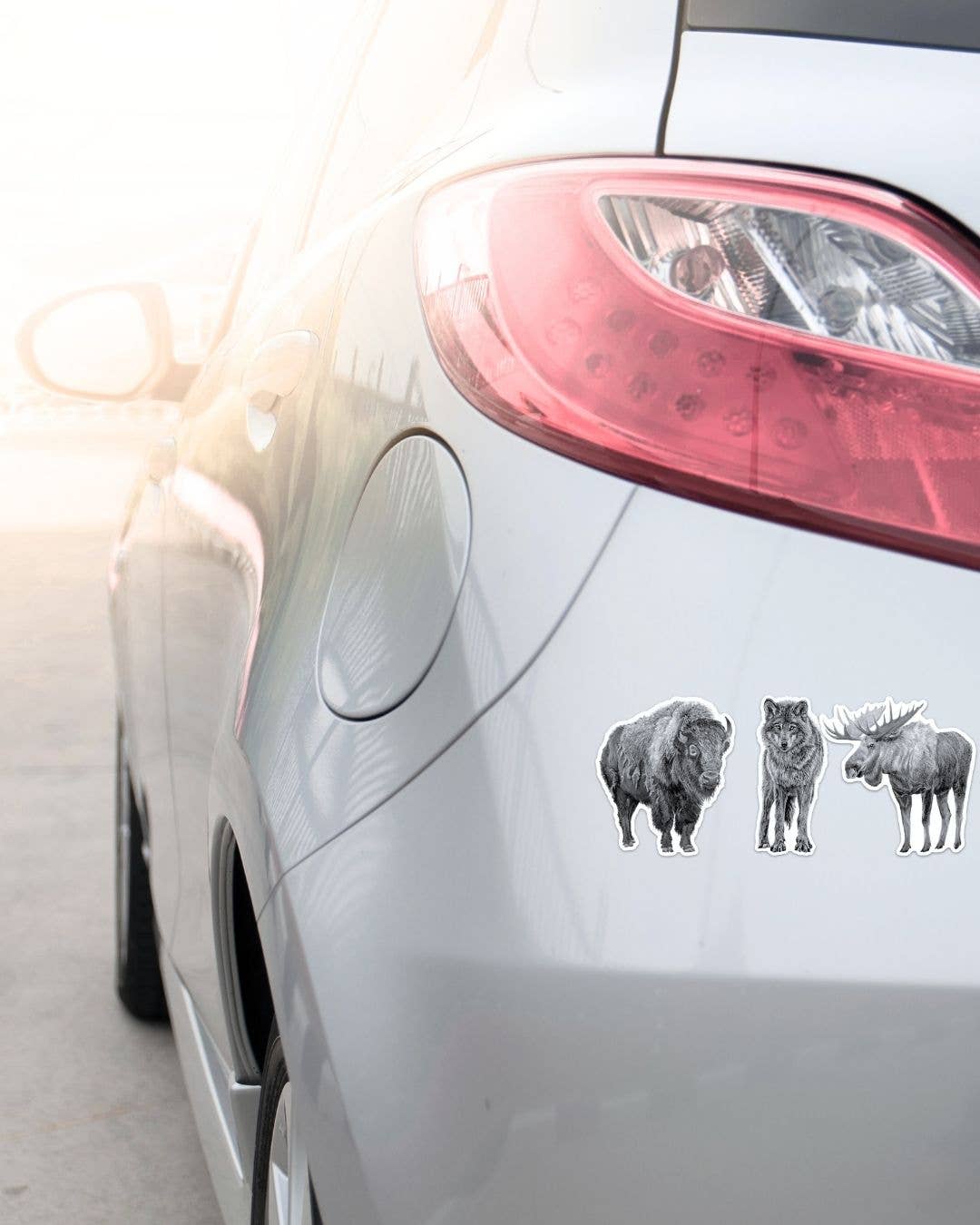 Sheep Magnet