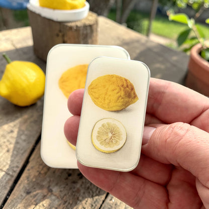 Botanical Lemon | Notion Tin (Large)