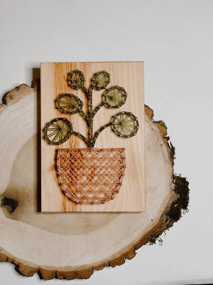 Pilea Plant DIY String Art Kit