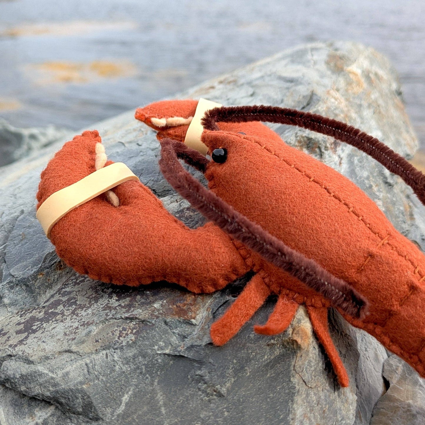 Live Catch Lobster Hand Stitching Felt Kit