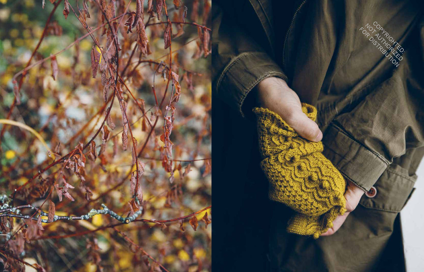 52 Weeks of Socks | Laine