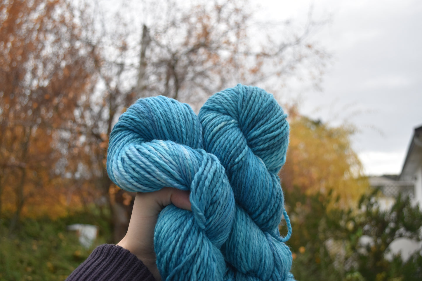 Hand holding two skeins of blue yarn outdoors with autumn trees in the background