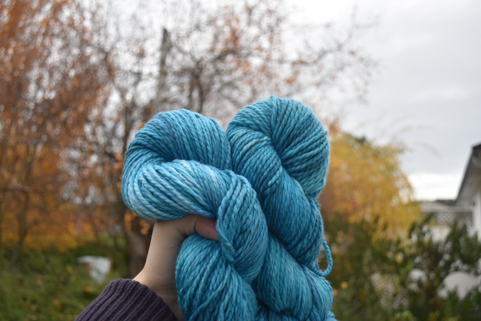 Hand holding two skeins of blue yarn outdoors with autumn trees in the background