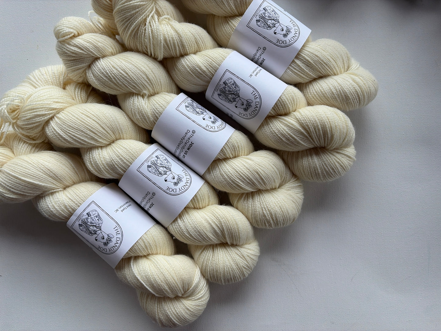 Dandy Sock | SW Merino/Nylon
