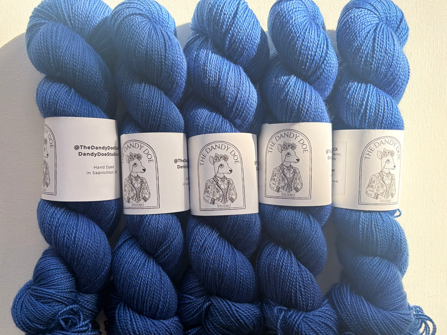 Dandy Sock | Fingering | SW Merino/Nylon