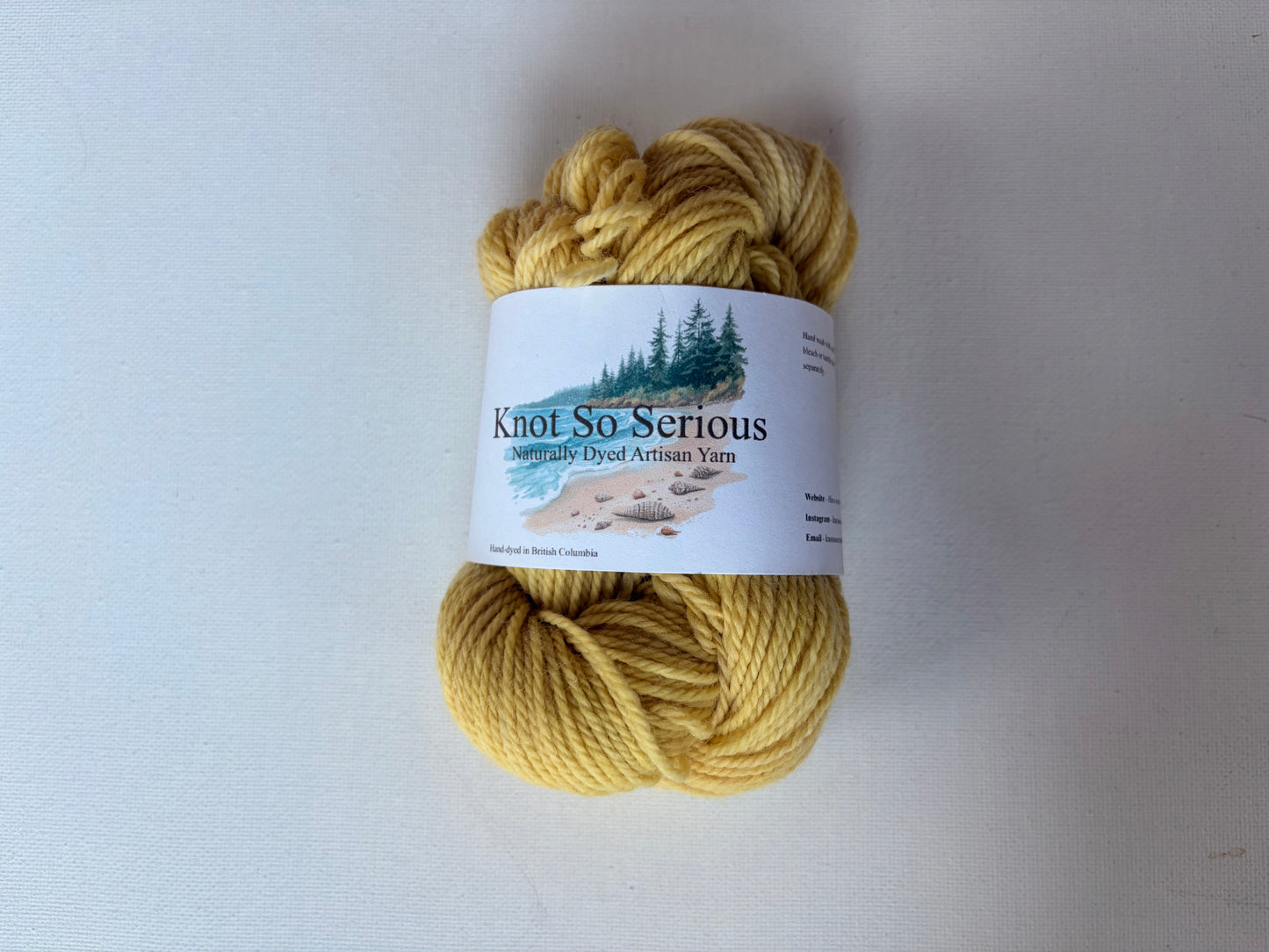 Naturally Dyed Yarn Minis | Fingering | SW Merino/Nylon