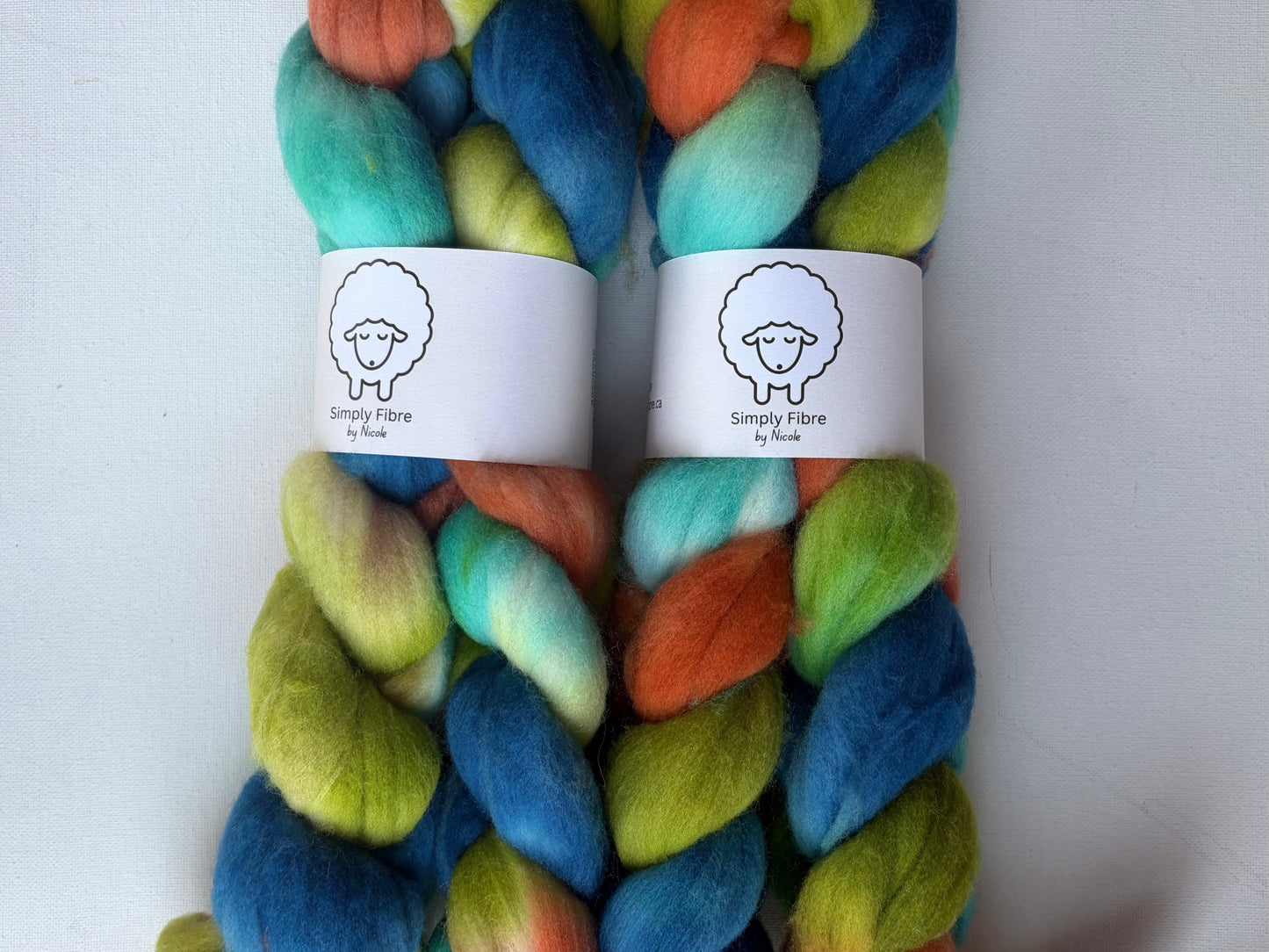 Non-superwash Rambouillet | Braid | 100g