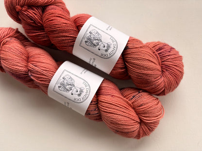 Dandy Sock | SW Merino/Nylon