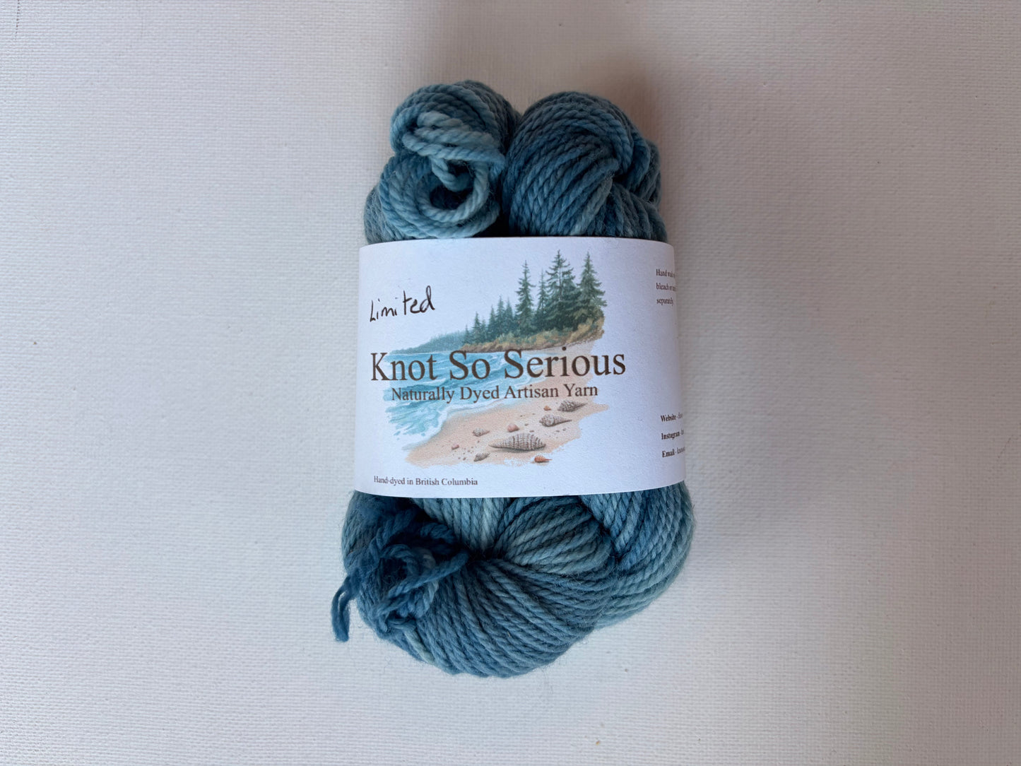 Naturally Dyed Yarn Minis | Fingering | SW Merino/Nylon