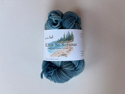 Naturally Dyed Yarn Minis | Fingering | SW Merino/Nylon
