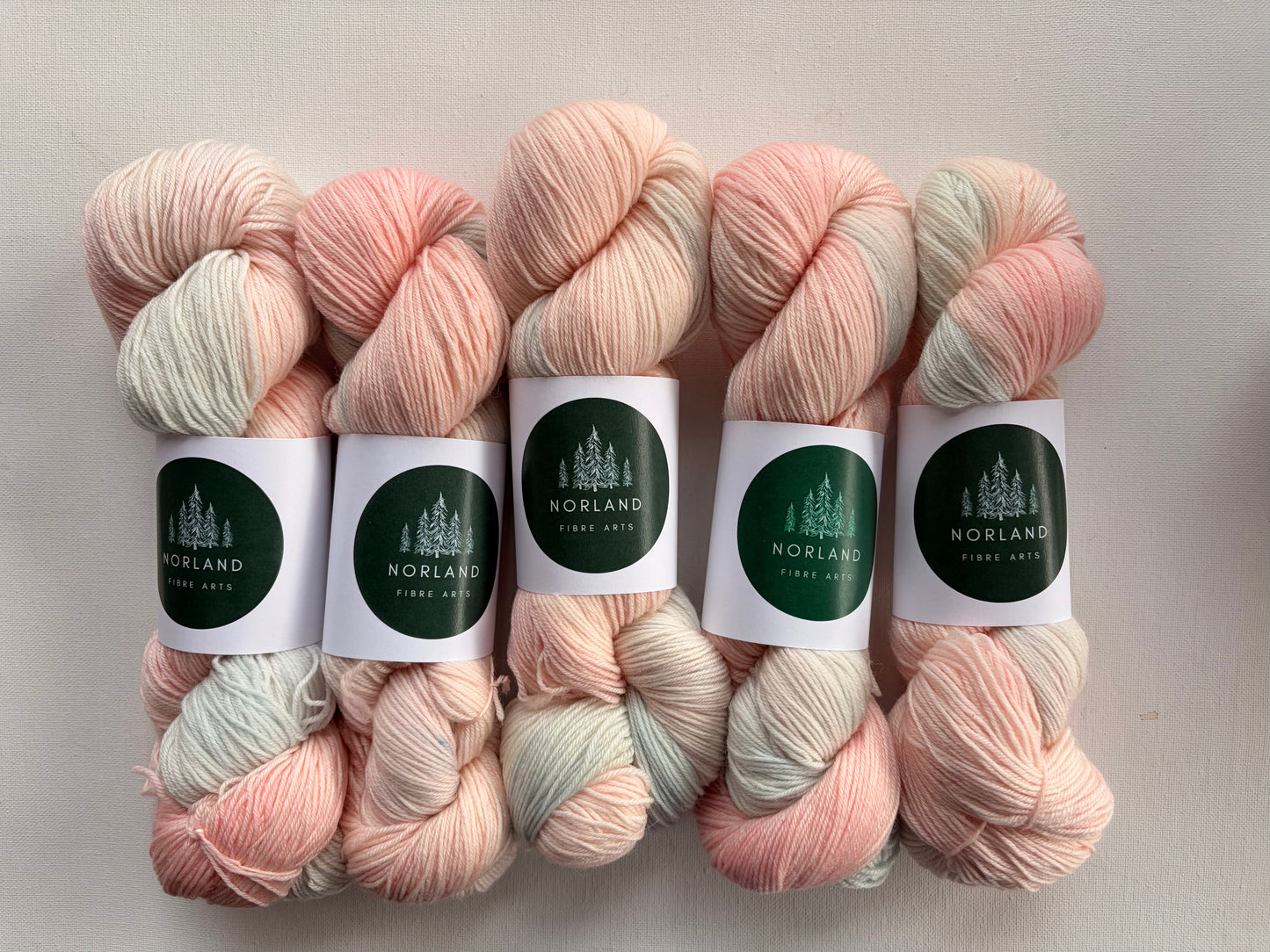 Sock Hop | 75% SW Merino/25% Nylon | Fingering