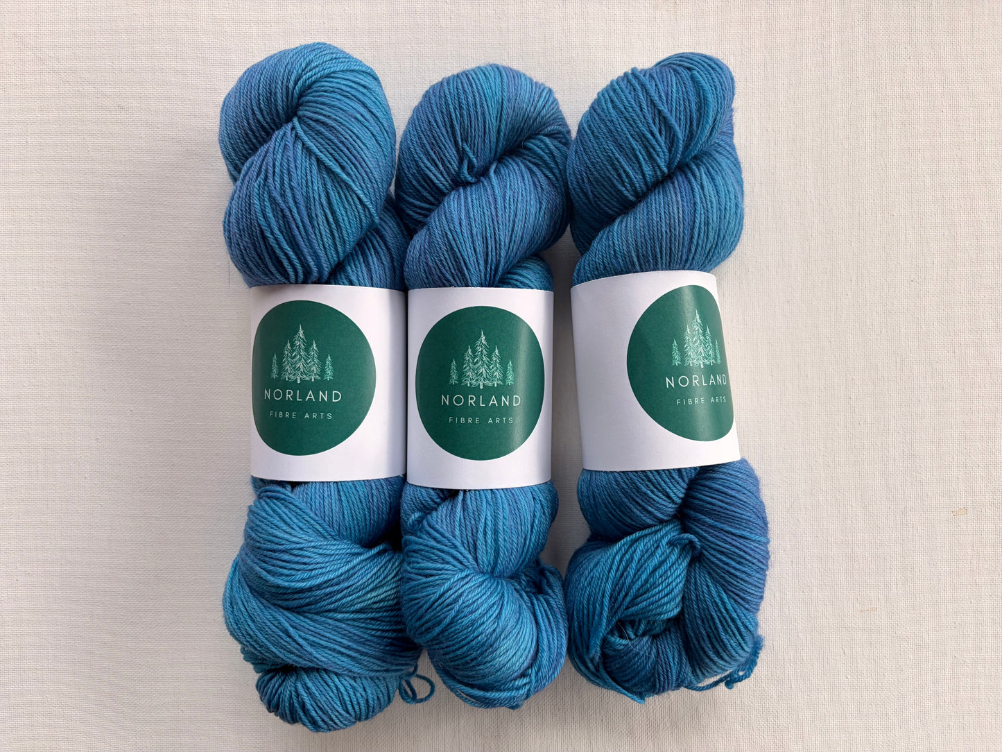 Sock Hop | 75% SW Merino/25% Nylon | Fingering