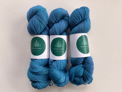 Sock Hop | 75% SW Merino/25% Nylon | Fingering