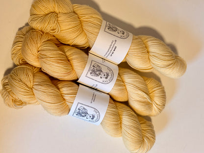 Dandy Sock | SW Merino/Nylon