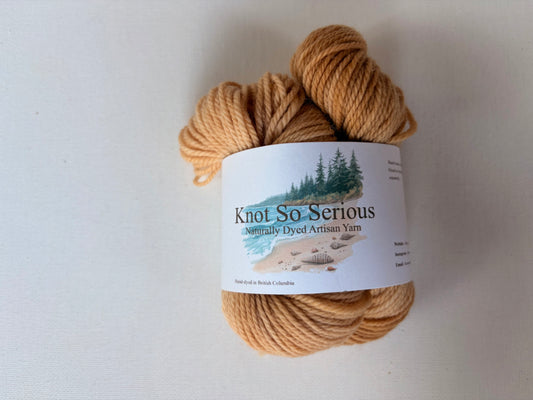 Naturally Dyed Yarn Minis | Fingering | SW Merino/Nylon