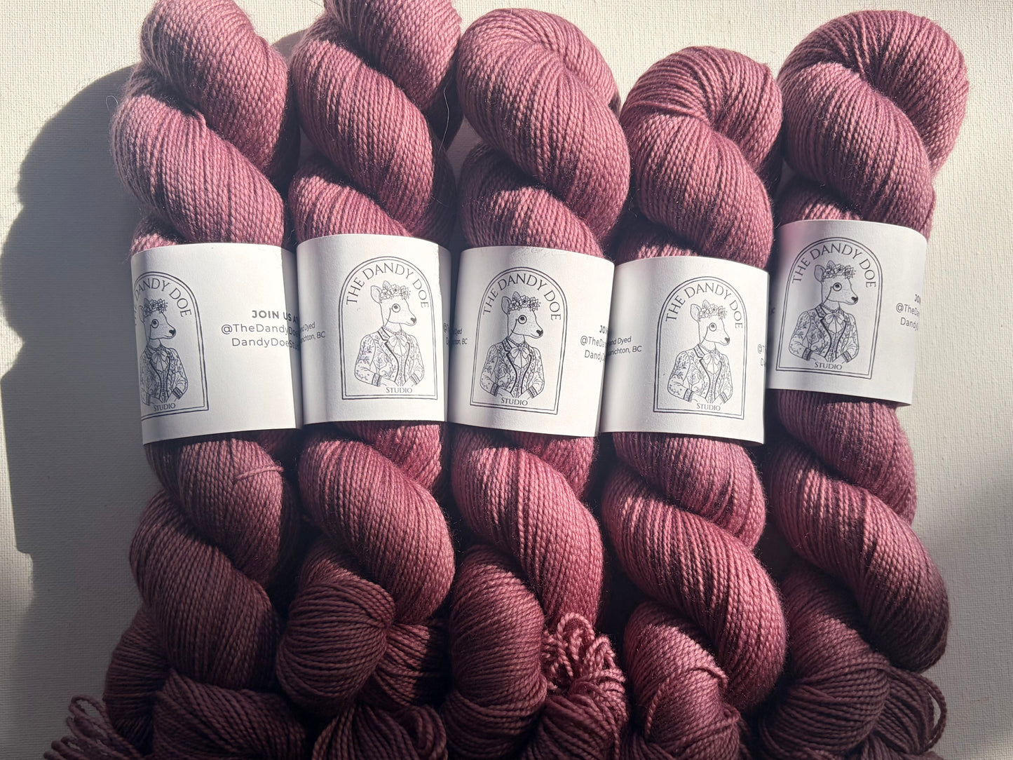 Dandy Sock | Fingering | SW Merino/Nylon