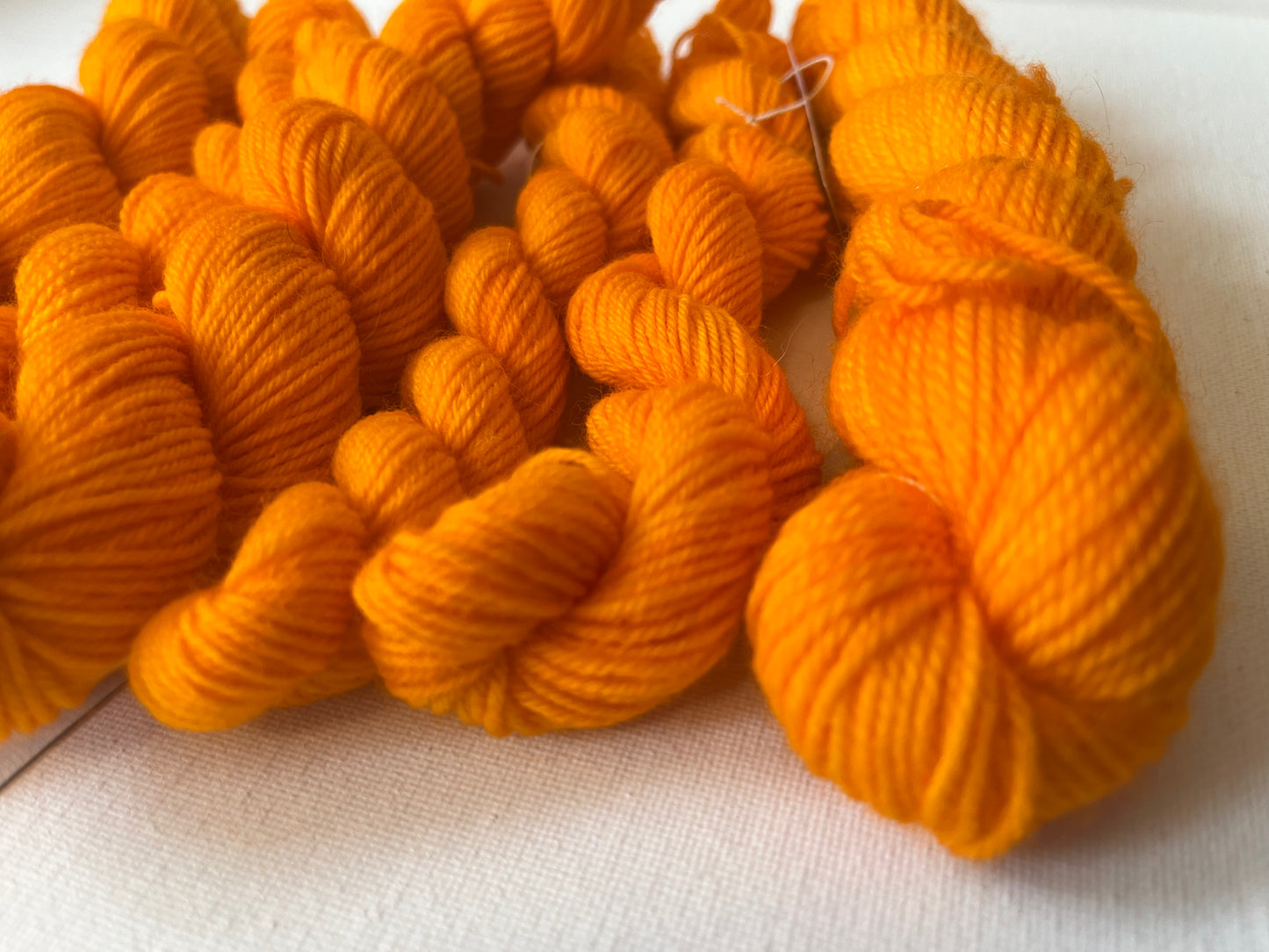 Minis | Fingering | SW BFL/Nylon