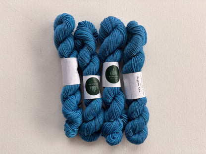 Sock Hop Minis | 75% SW Merino/25% Nylon | Fingering