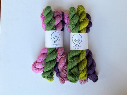 Organic NSW Mini Set | Fingering | NSW Merino
