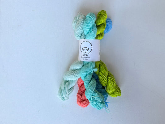 Organic NSW Mini Set | Fingering | NSW Merino