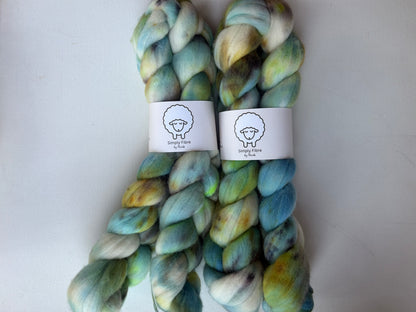 Non-superwash Rambouillet | Braid | 100g