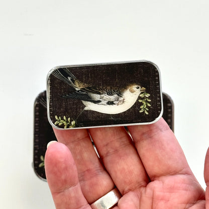 Birdsong | Notions Tin