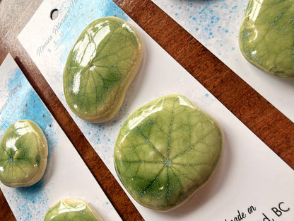 2 Nasturtium Leaf Shank Buttons | 1 3/4”